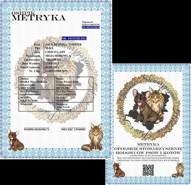 Ile kosztuje metryka dla psa? Sprawdź ceny i ukryte opłaty Ile kosztuje metryka dla psa? Sprawdź ceny i ukryte opłaty