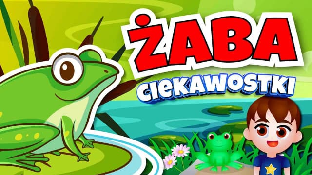 Jak rozmnażają się żaby? Zaskakujące etapy ich rozwoju w wodzie Jak rozmnażają się żaby? Zaskakujące etapy ich rozwoju w wodzie